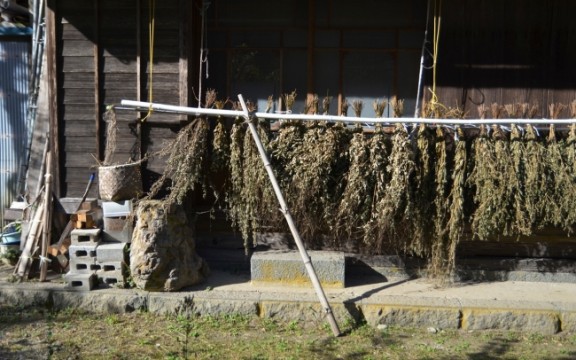 d987-700-545285-1