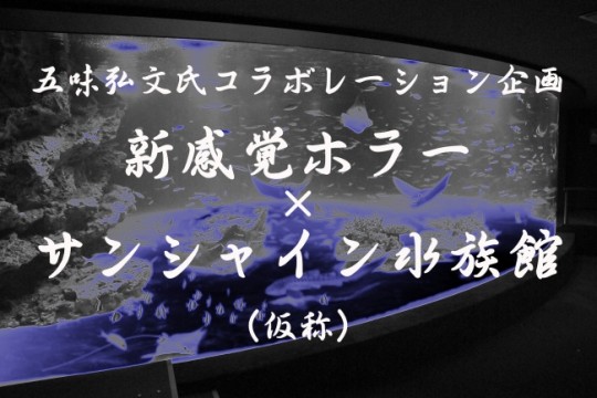 d20364-4-513656-1