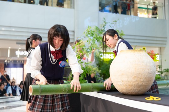 image20364x362_sub1