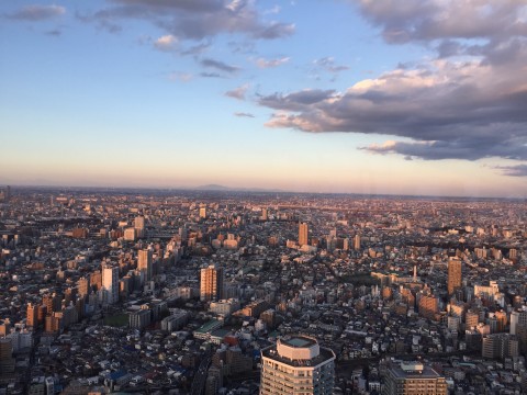 image20364x464_main