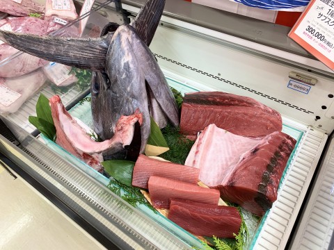 The head meat, cheek meat, eyeballs, bite, large toro, medium toro, and lean meat (equivalent to about 30-40 kg in total) for one tuna will arrive over 3 months.