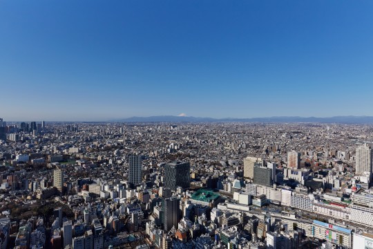 View from the observatory (Ikebukuro Station / Mt. Fuji)