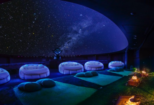 Konica Minolta Planetarium "Manten"