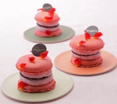 Dalloyau macaroons