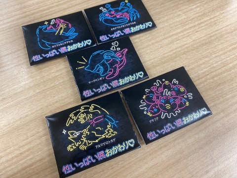 性爱展览的补充装♡原创避孕套（5种6件套）1,000日元
