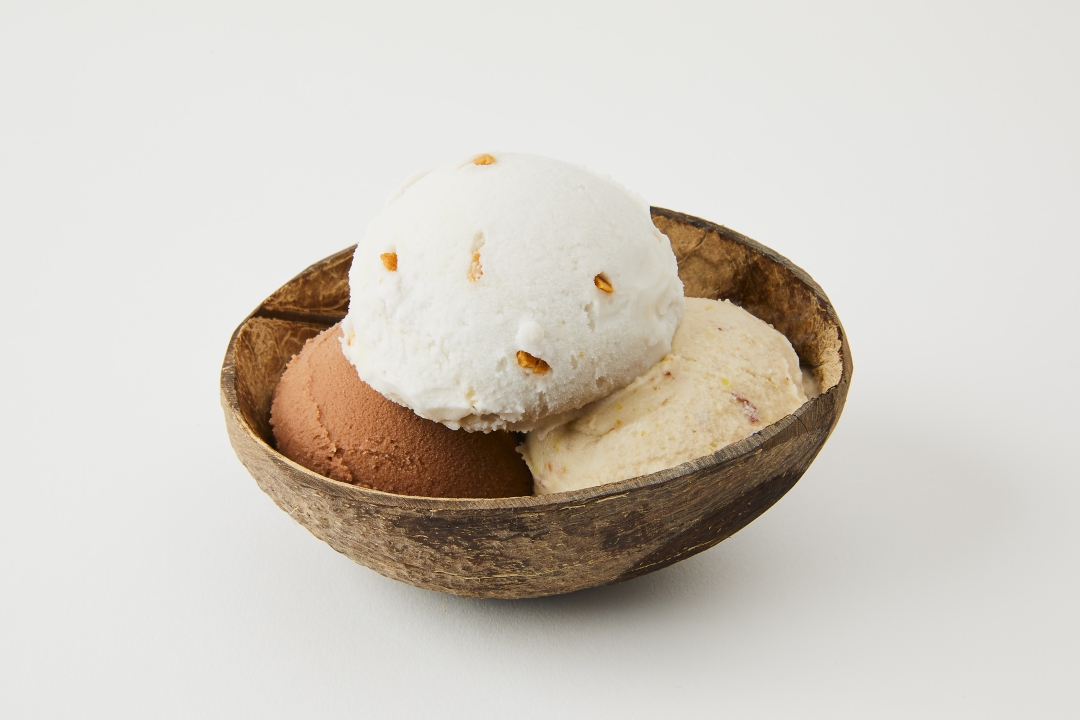 Scoops with coconut shell (3 scoops pictured)