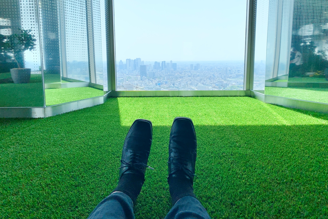 実際に人工芝に座ってみたときの景色の見え方。気持ちのよい陽気で、このまま眠ってしまいたくなりました。