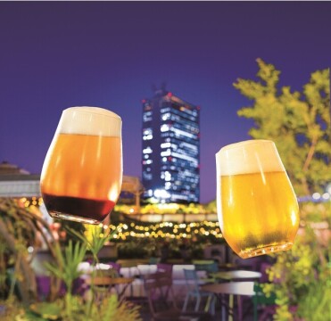 d31382-1466-852c65e44dcc0a105506-0