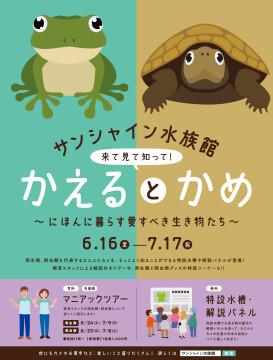 _2304_水族館_かえるとかめ_B全