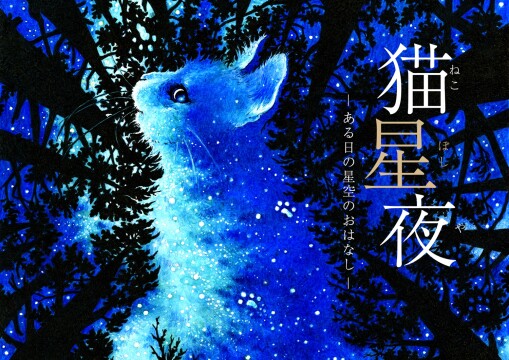 《猫星夜——一个关于一天星空的故事》