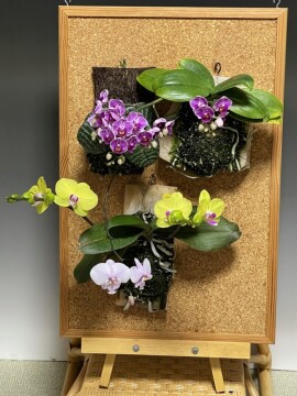 木着け作品