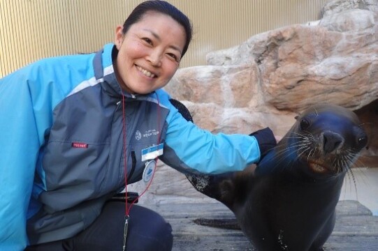 サンシャイン水族館　アシカ担当 飼育スタッフ 小倉知恵子（おぐらちえこ）