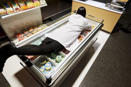 本物のアイスケースの上に寝そべって写真や動画が撮れる展示、「アイスケースと炎上」。