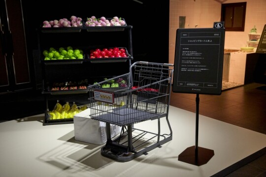 ショッピングカートに入って写真や動画が撮れる体験型展示、「ショッピングカートと炎上」。