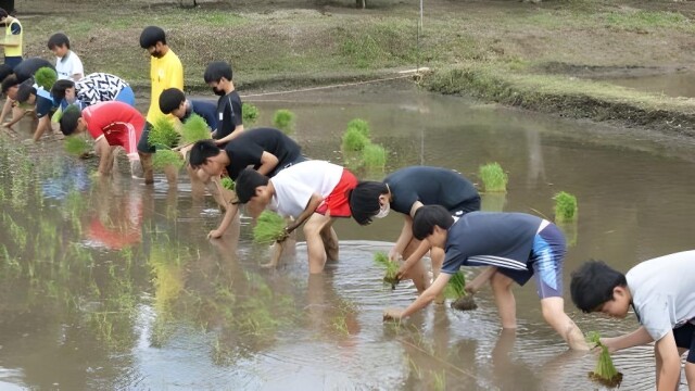 【お米のまきの】稲作体験福袋　イメージ