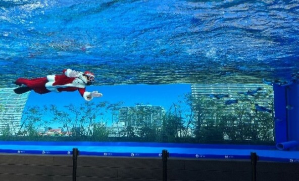 「天空のサンタ」イメージ