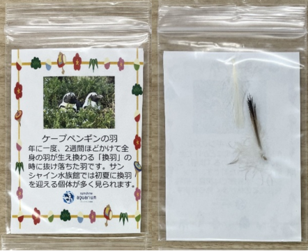 落とし(お年)玉イメージ