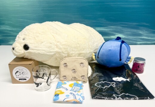 福袋に含まれるグッズ例