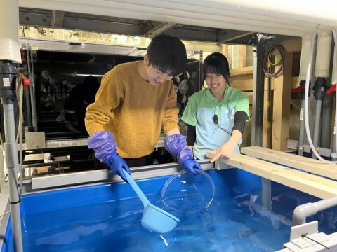 スペシャルパックの飼育スタッフ体験イメージ