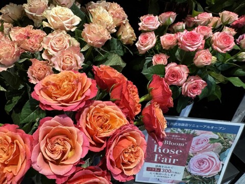 『Re:Bloom Rose Fair（リブルーム ローズフェア）』