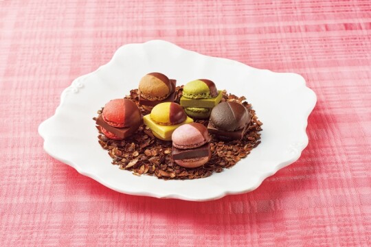 ソイルチョコレート＆ マメイルナマチョコレートマカロン