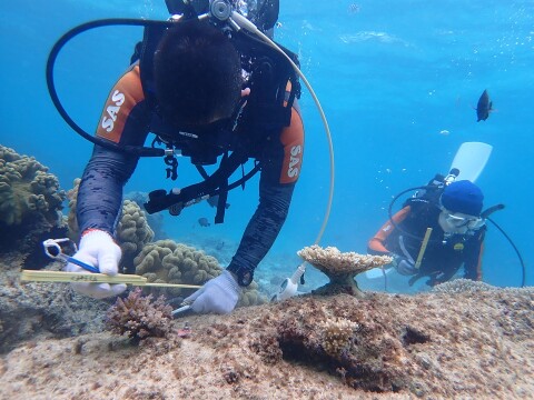 沖縄県恩納村の海でのメンテナンス作業の様子
