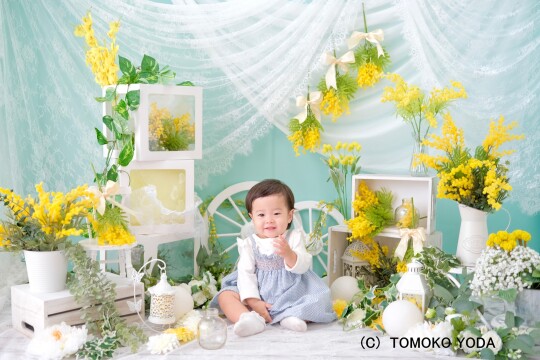 ミモザガーデン